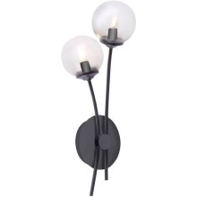 Paul Neuhaus 9014-18 - LED Nástenná lampa WIDOW 2xG9/3W/230V