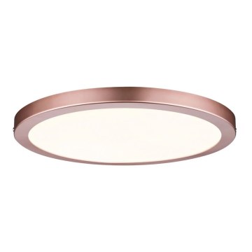 Paulmann 70872 - LED/22W Stmievateľný panel ATRIA 230V 2700K pr. 30 cm rose gold