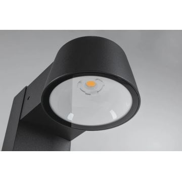 Paulmann 94715 - LED/6W IP44 Vonkajšia lampa CAPERA 230V