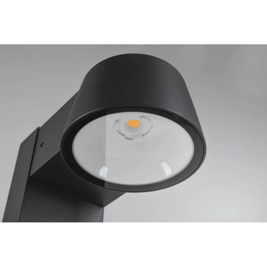 Paulmann 94715 - LED/6W IP44 Vonkajšia lampa CAPERA 230V