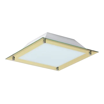 Rabalux 3047 - LED Stropné svietidlo LARS 1xLED/12W/230V