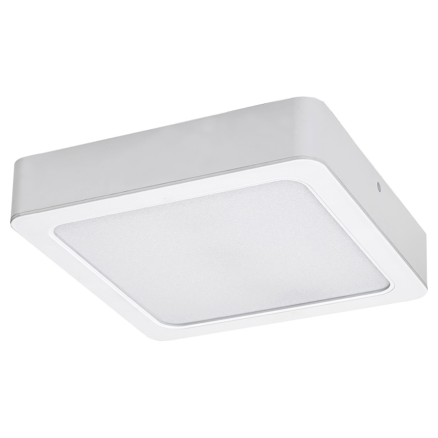 Rabalux - LED Stropné svietidlo LED/18W/230V 17 cm