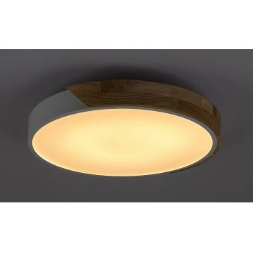 Rabalux - LED Stropné svietidlo LED/24W/230V biela/dub