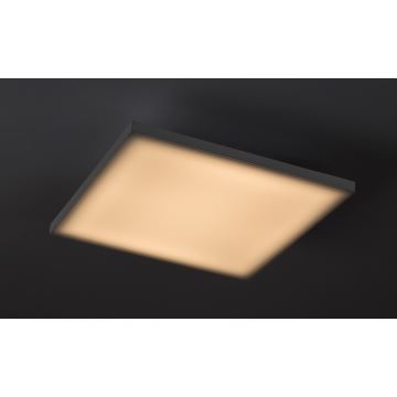 Rabalux - LED RGB Stmievateľné stropné svietidlo LED/24W/230V 3000-6500K 40x40 cm+ diaľkové ovládanie