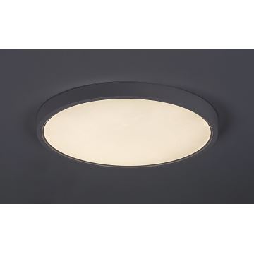 Rabalux - LED Stropné svietidlo LED/24W/230V 4000K pr. 30 cm biela