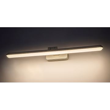 Rabalux - LED Obrazové svietidlo LED/15W/230V 4000K biela