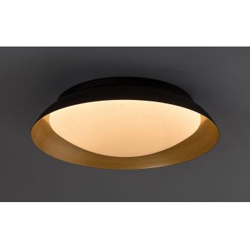 Rabalux - LED Stropné svietidlo LED/24W/230V 3000K pr. 40 cm