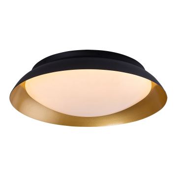 Rabalux - LED Stropné svietidlo LED/24W/230V 3000K pr. 40 cm