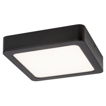 Rabalux - LED Stropné svietidlo LED/24W/230V 4000K 22x22 cm čierna