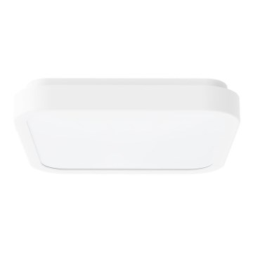 Rabalux - LED Kúpeľňové stropné svietidlo LED/18W/230V IP44 4000K 25x25 cm biela