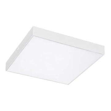 Rabalux - LED Stropné svietidlo LED/24W/230V 3000-6000K IP44 biela