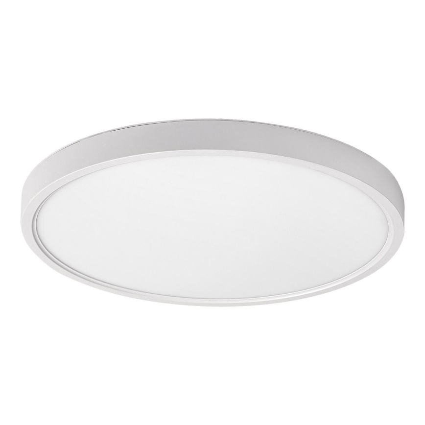 Rabalux - LED Stropné svietidlo LED/24W/230V 4000K pr. 30 cm biela