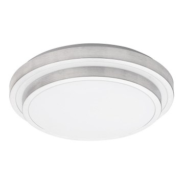 Rabalux - LED Stropné svietidlo LED/24W/230V