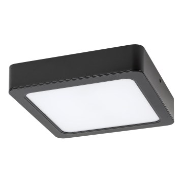 Rabalux - LED Stropné svietidlo LED/7W/230V 4000K 12x12 cm čierna