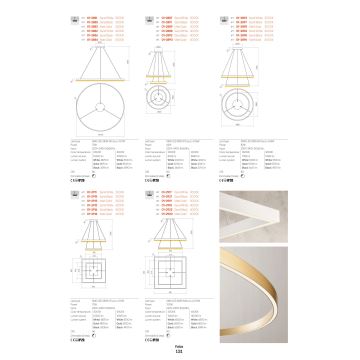 Redo 01-2835 - LED Stmievateľné nástenné svietidlo FEBE LED/24W/230V zlatá