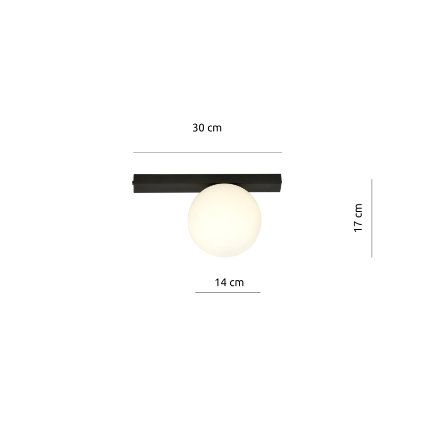 Stropné svietidlo FIT 1xE14/10W/230V čierna/biela