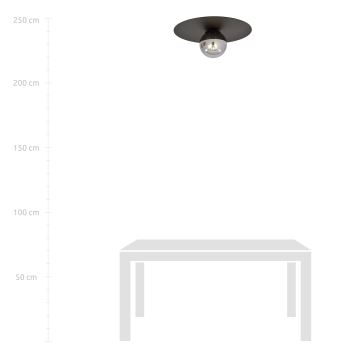 Stropné svietidlo SOLAR 1xE14/10W/230V čierna/šedá