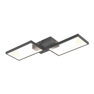 Trio - LED Stmievateľný prisadený luster CAFU 2xLED/7W/230V