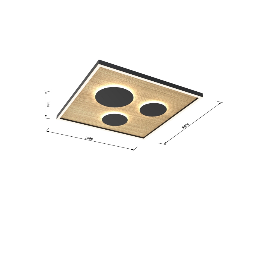 Wofi 9012-306L - LED Stmievateľné stropné svietidlo DIJON LED/40W/230V